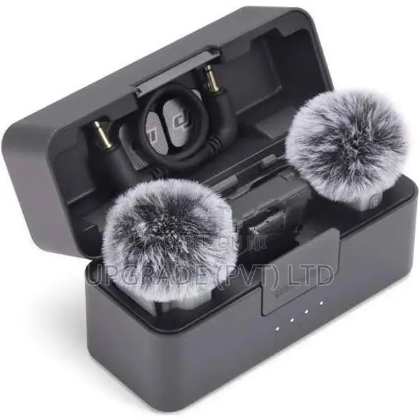 Mic Mini 2