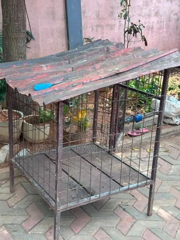 Dog Cage