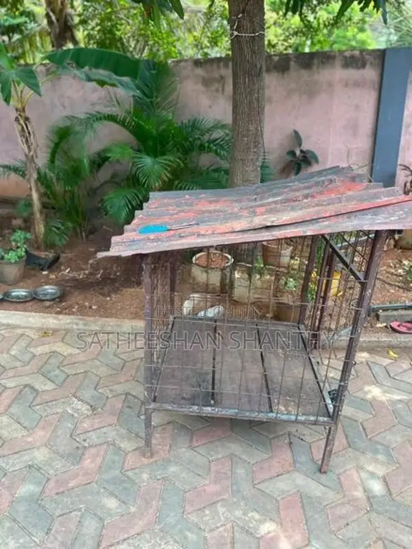 Dog Cage