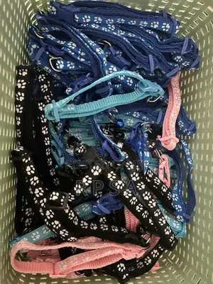 Cat Collars