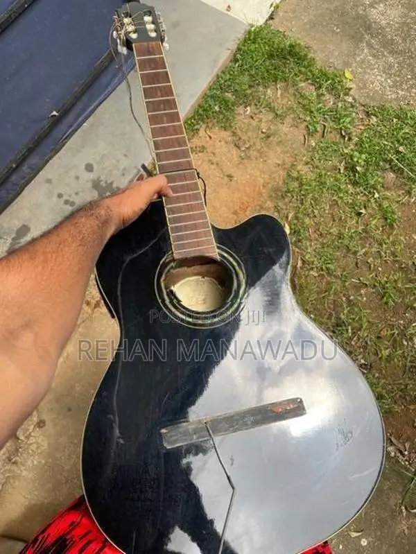 Samick Amp Guitar