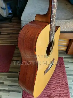 Enya ED-220 Solid Top Guitar