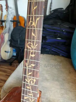 Enya ED-220 Solid Top Guitar