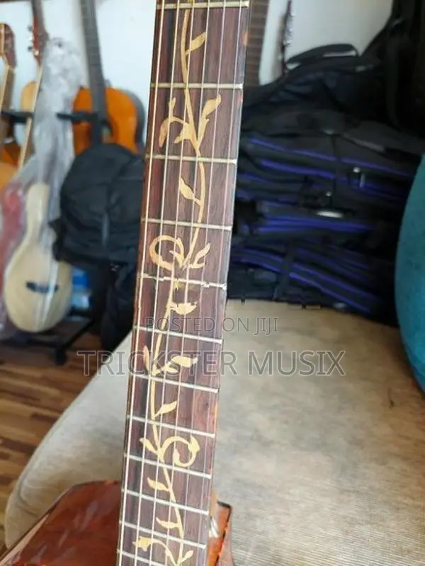 Enya ED-220 Solid Top Guitar