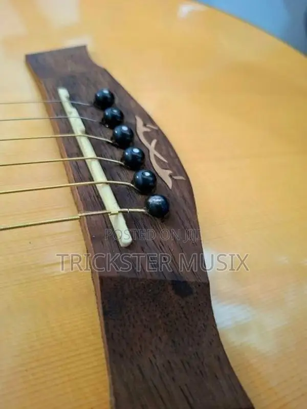 Enya ED-220 Solid Top Guitar