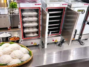 6 TRAY ELECTRIC STEAMER – කුඩා ව්‍යාපාර සඳහා හොඳම තේරීම!