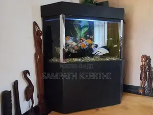 Corner Fish Tank with Full Accessories