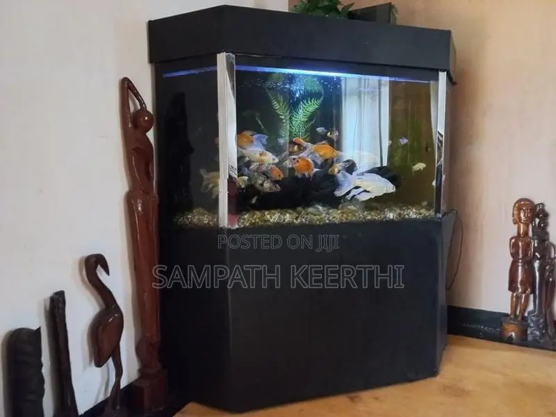 Corner Fish Tank with Full Accessories
