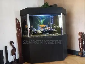 Corner Fish Tank with Full Accessories