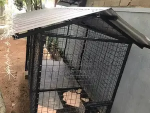 Dog Cage