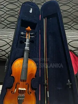 Violin