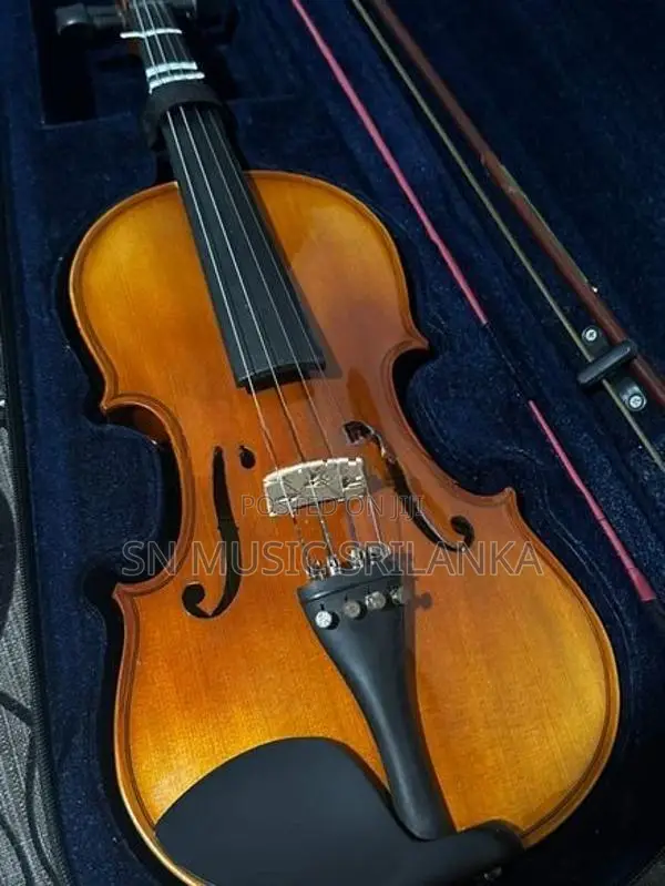Violin