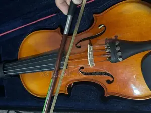 Violin