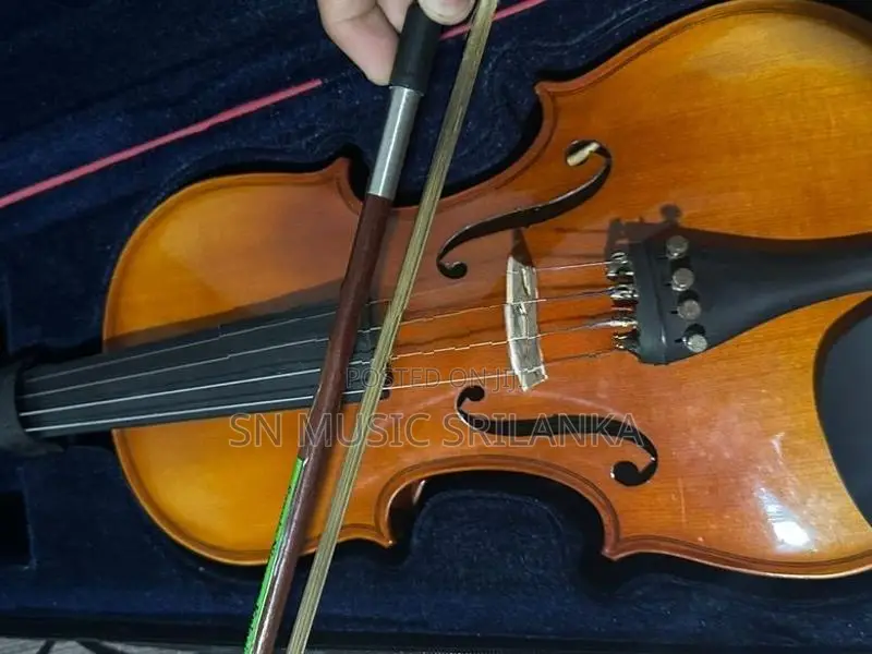 Violin