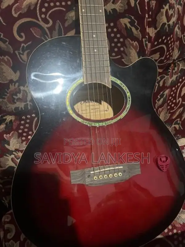 Guitar