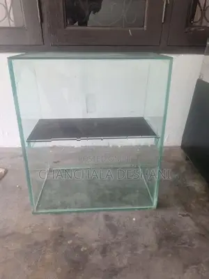 Display Showcase