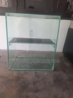 Display Showcase