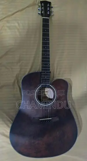 Acoustic Box Guitar