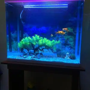 Imported Fish Tank