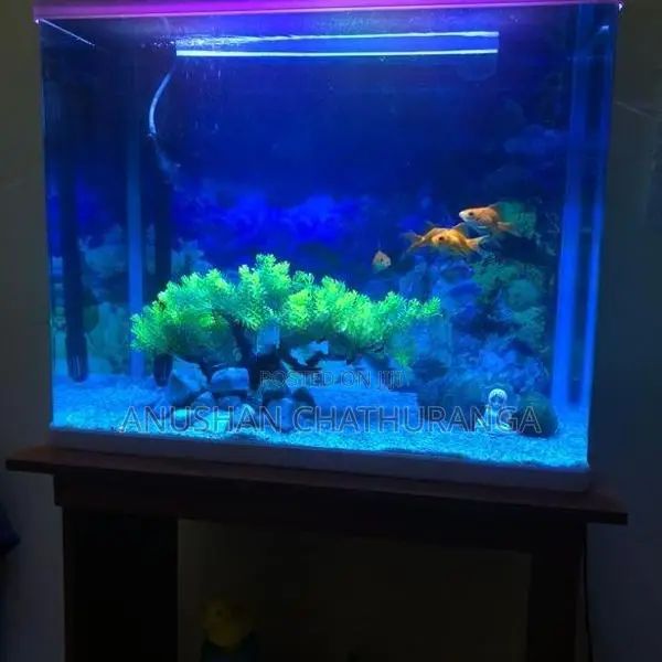 Imported Fish Tank