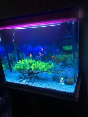 Imported Fish Tank