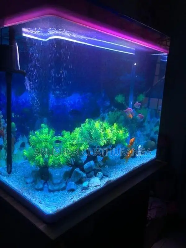 Imported Fish Tank