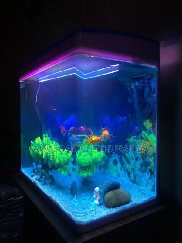 Imported Fish Tank