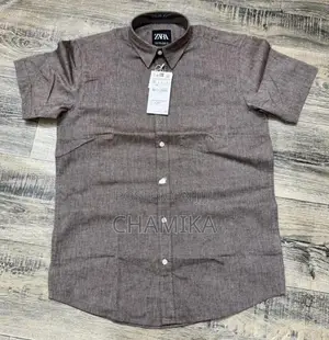Zara Branded Shirts