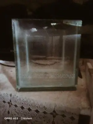 15×15cm Cube High Quality Glass Fish Tank For Betta (Fighter)