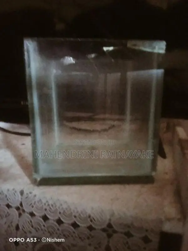 15×15cm Cube High Quality Glass Fish Tank For Betta (Fighter)