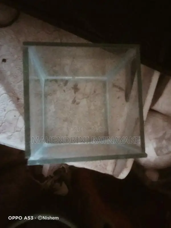 15×15cm Cube High Quality Glass Fish Tank For Betta (Fighter)