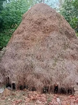 Vaikol