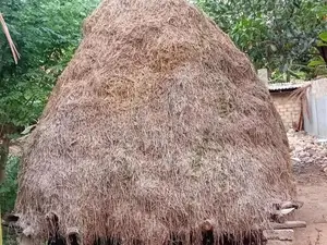 Vaikol