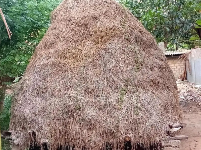 Vaikol