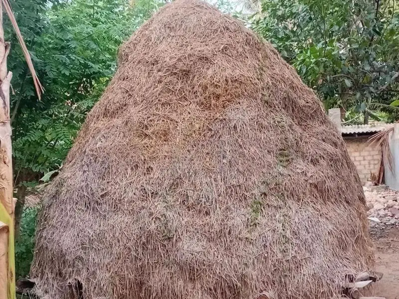 Vaikol