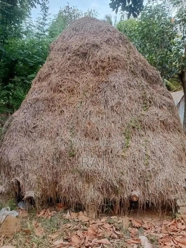 Vaikol