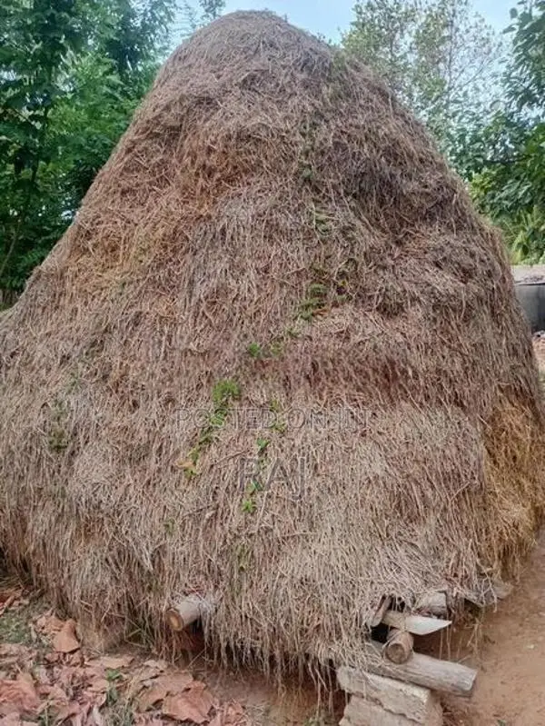 Vaikol
