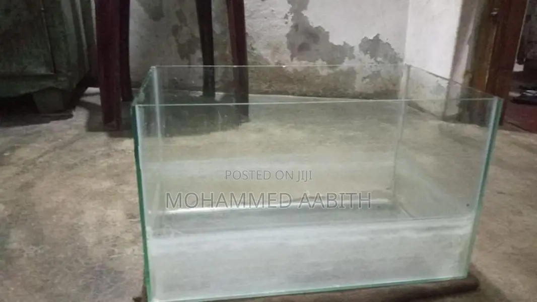Fish Tank