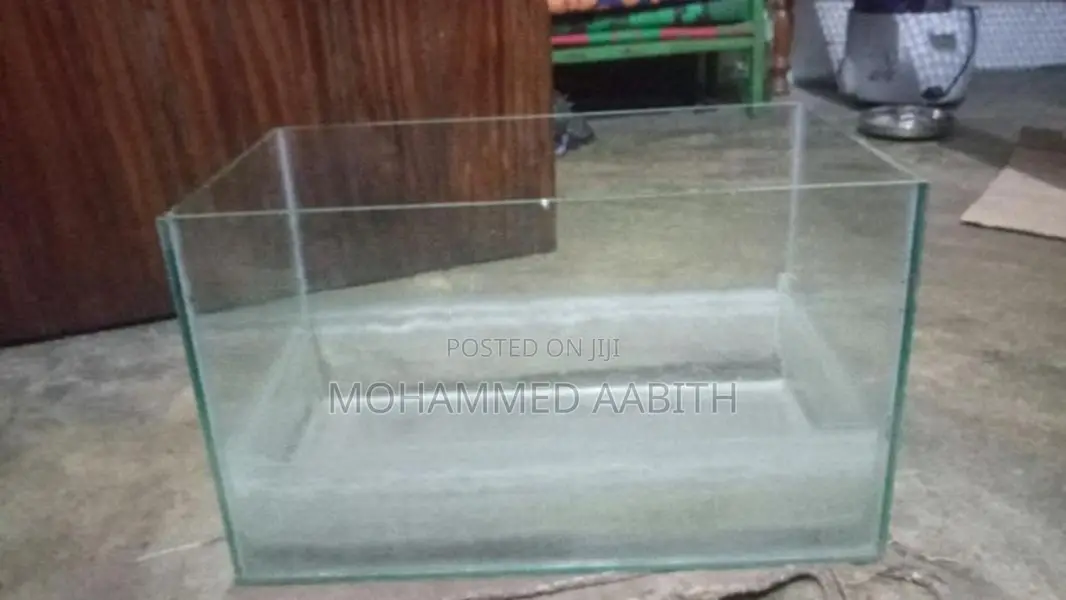 Fish Tank
