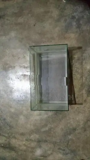 Fish Tank