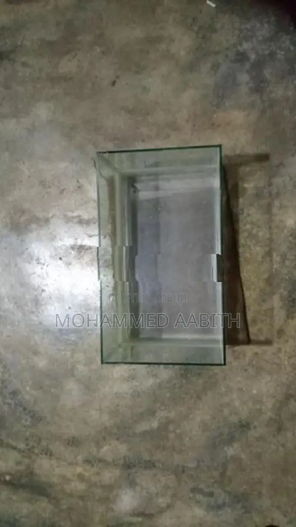 Fish Tank