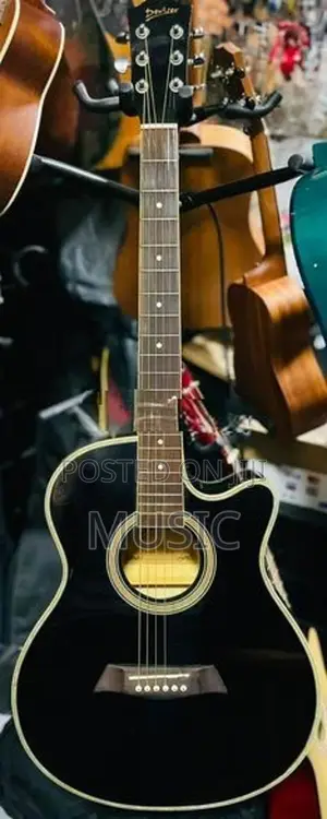 Acoustic Guitar