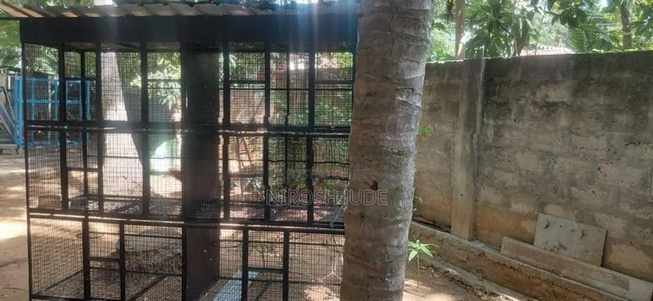 Steel Bird Cage