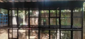 Steel Bird Cage