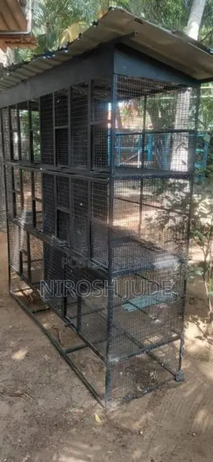 Steel Bird Cage