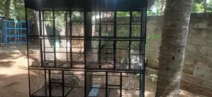 Steel Bird Cage