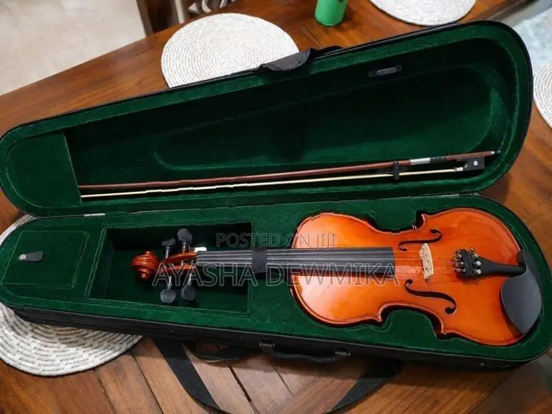 Violin