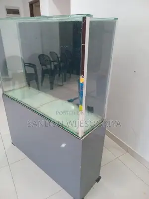 Fish Tank