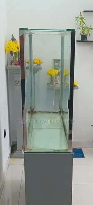 Fish Tank