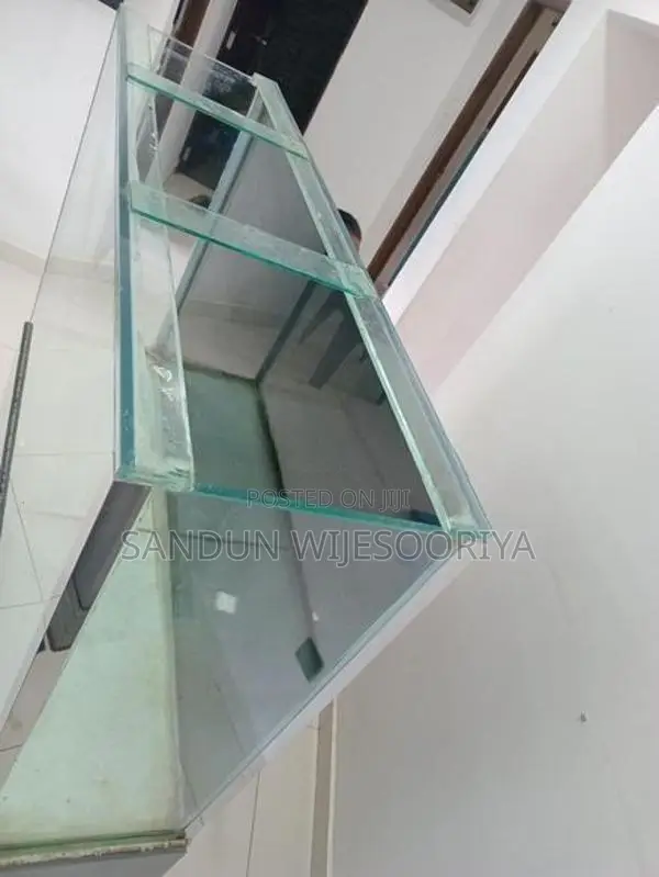 Fish Tank